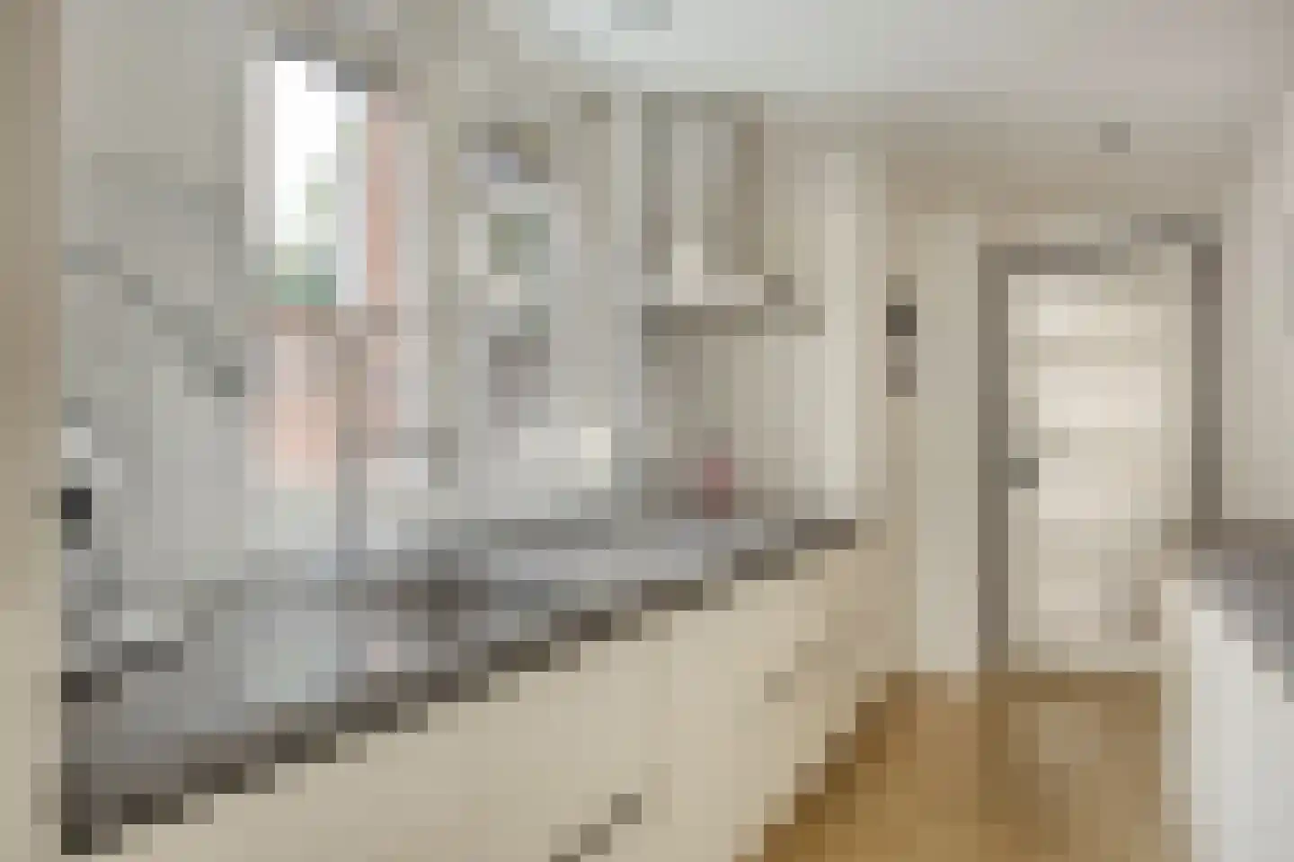 Coehoornstraat 49 Bergen op Zoom thumbnail 5