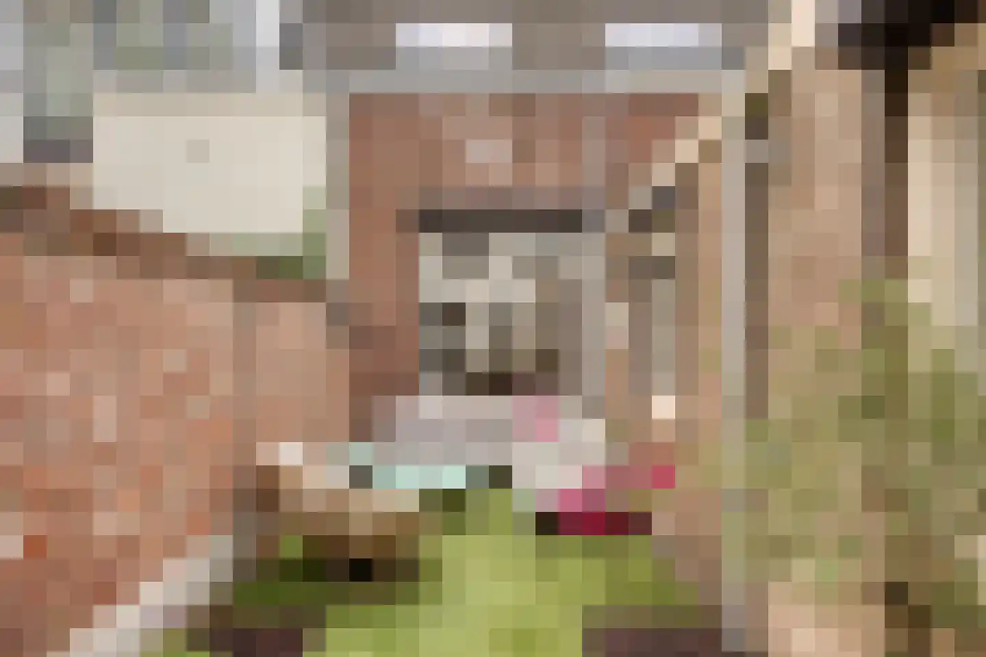 Coehoornstraat 49 Bergen op Zoom thumbnail 8