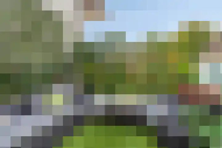 Coehoornstraat 53 Bergen op Zoom thumbnail 31