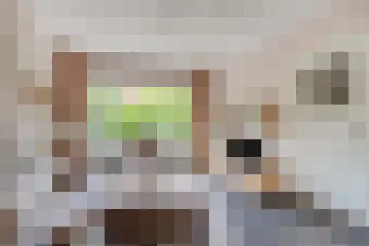 Coehoornstraat 64 Hilversum thumbnail 7
