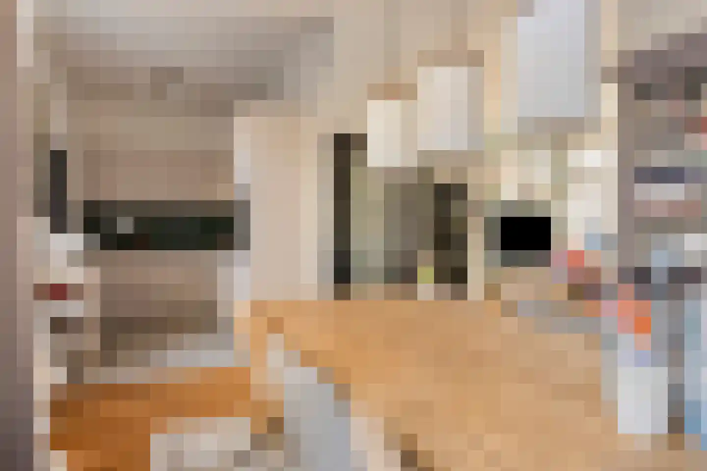 Coehoornstraat 7 Bergen op Zoom thumbnail 10