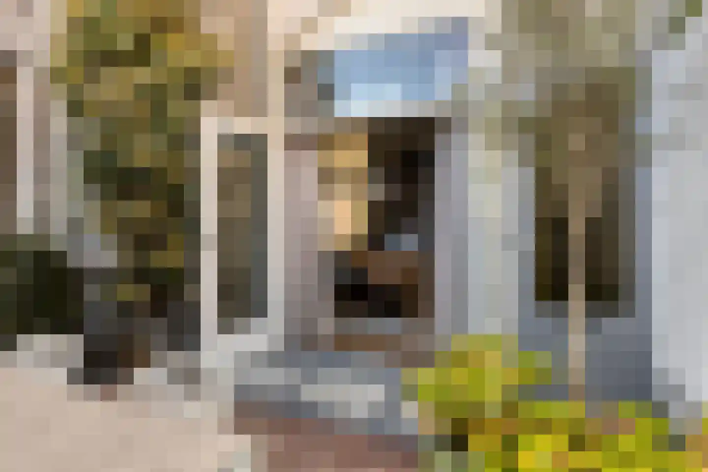 Coehoornstraat 7 Bergen op Zoom thumbnail 36