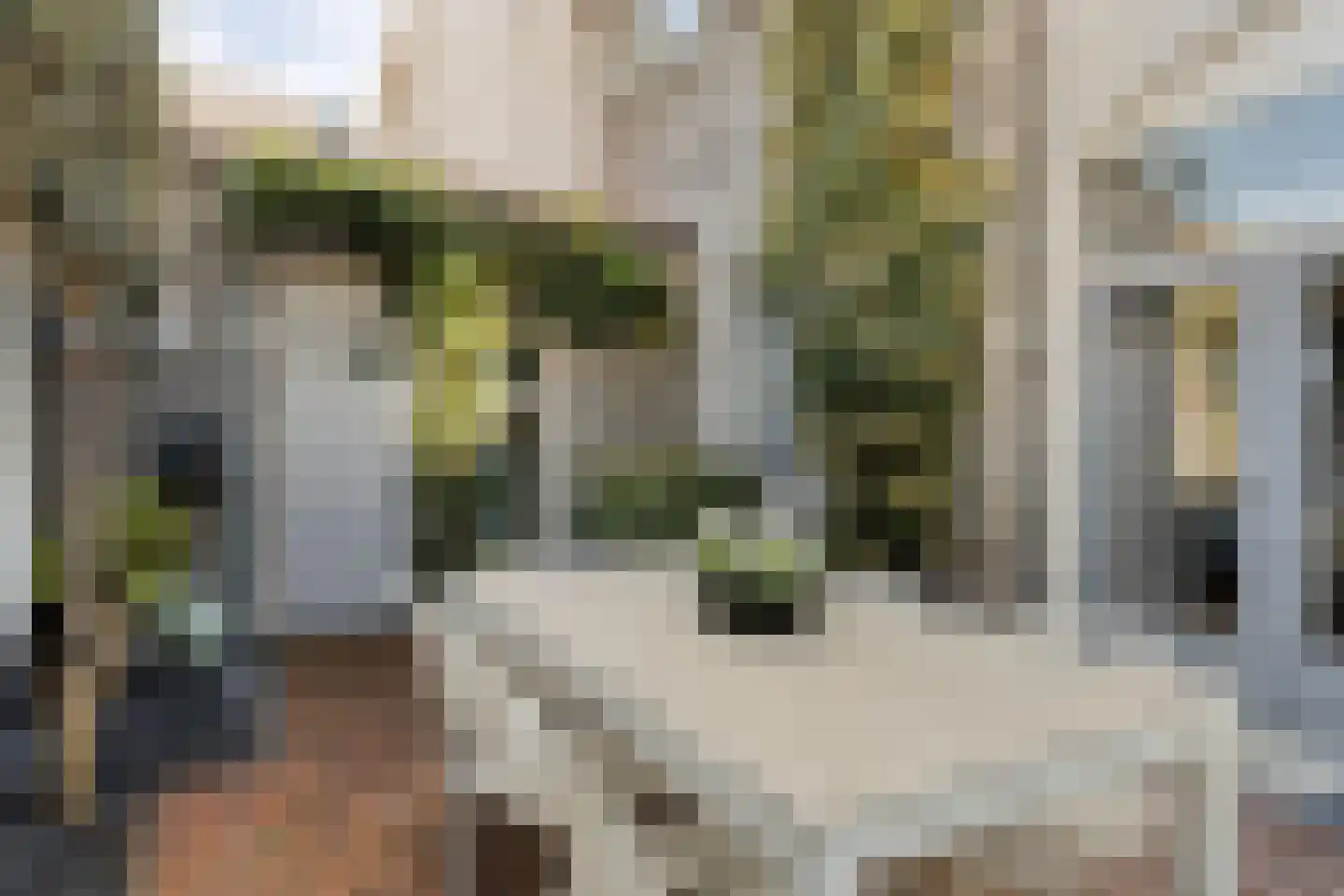 Coehoornstraat 7 Bergen op Zoom thumbnail 38