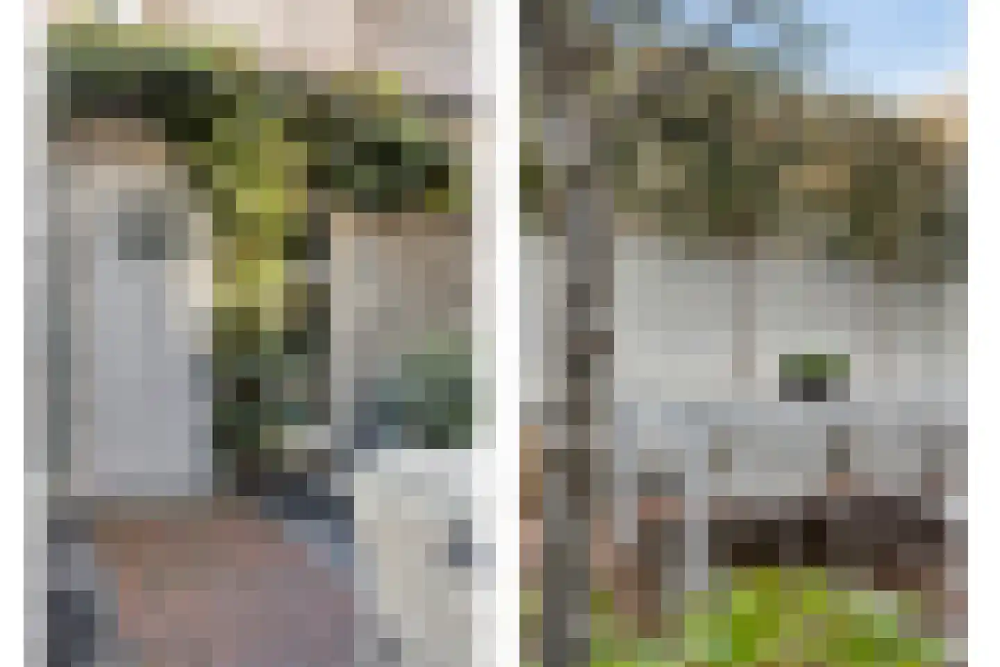 Coehoornstraat 7 Bergen op Zoom thumbnail 39