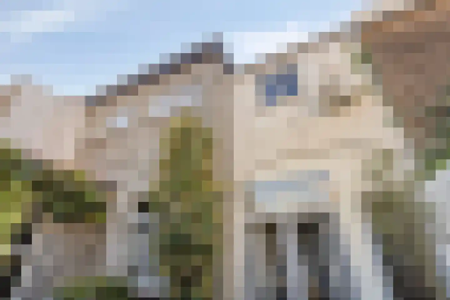 Coehoornstraat 7 Bergen op Zoom thumbnail 41