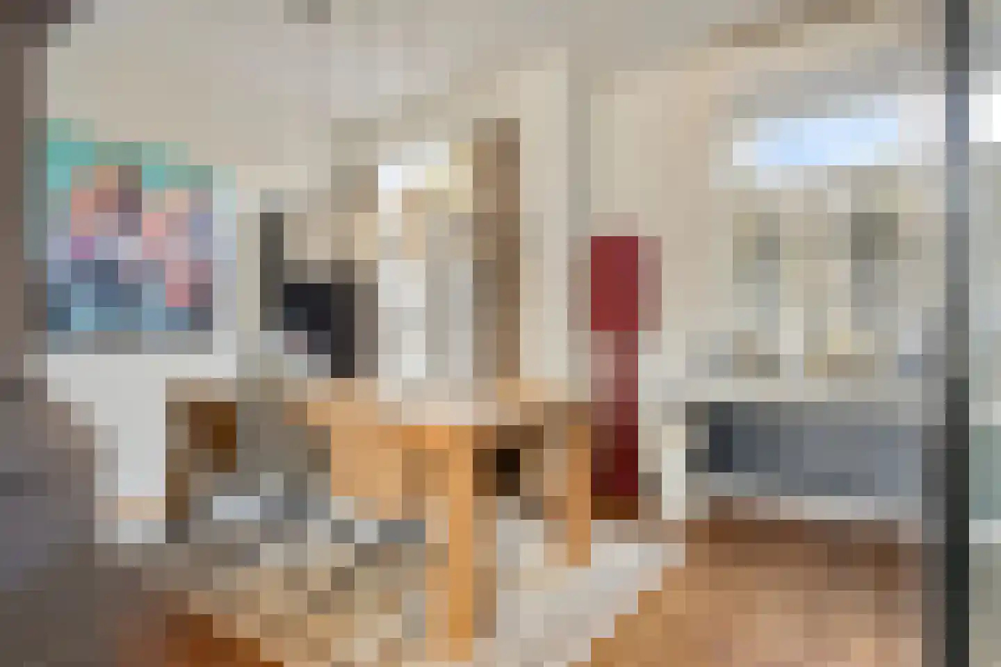 Coehoornstraat 7 Bergen op Zoom thumbnail 7