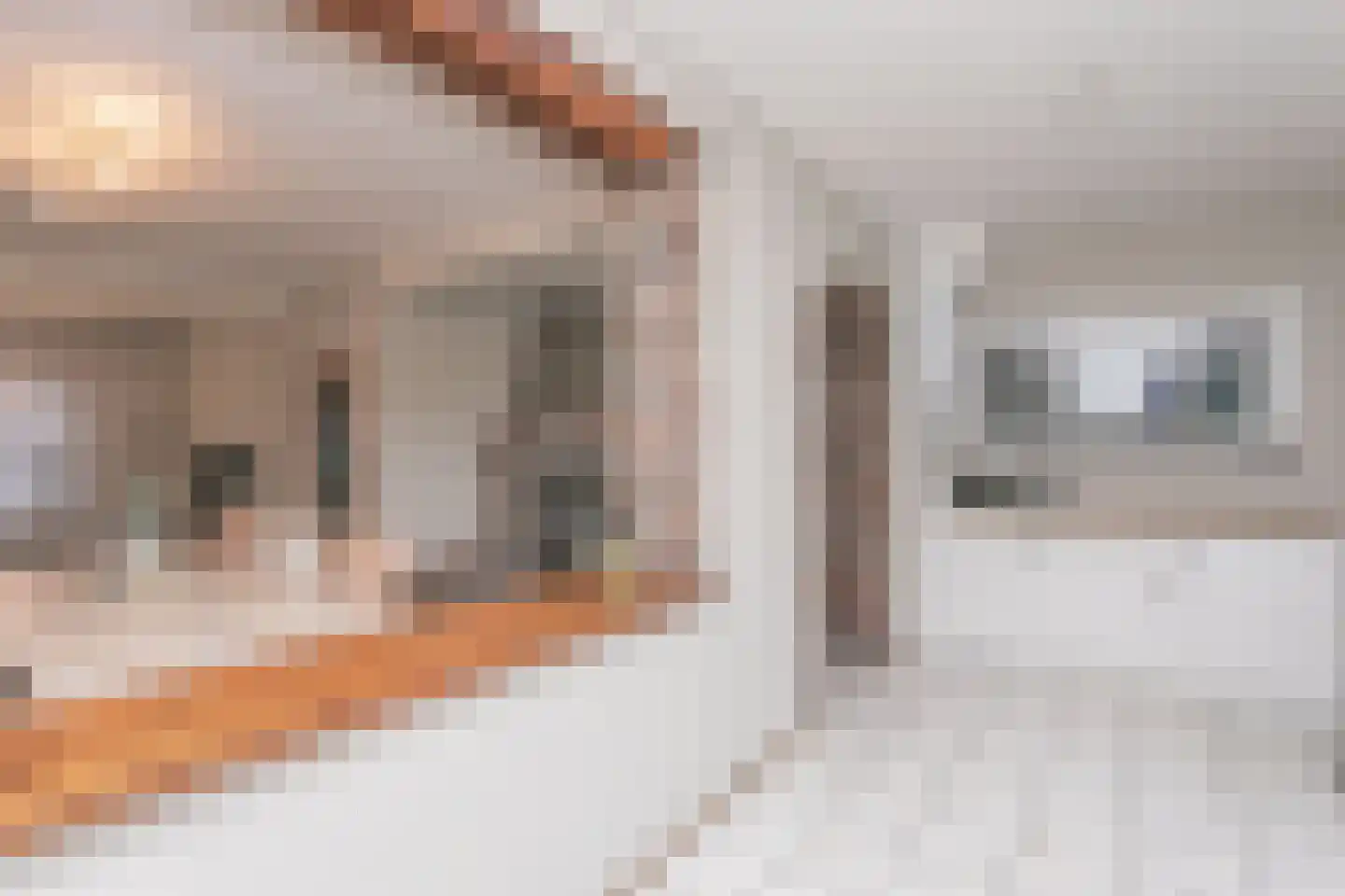 Coelgroevenstraat 20 Eygelshoven thumbnail 14