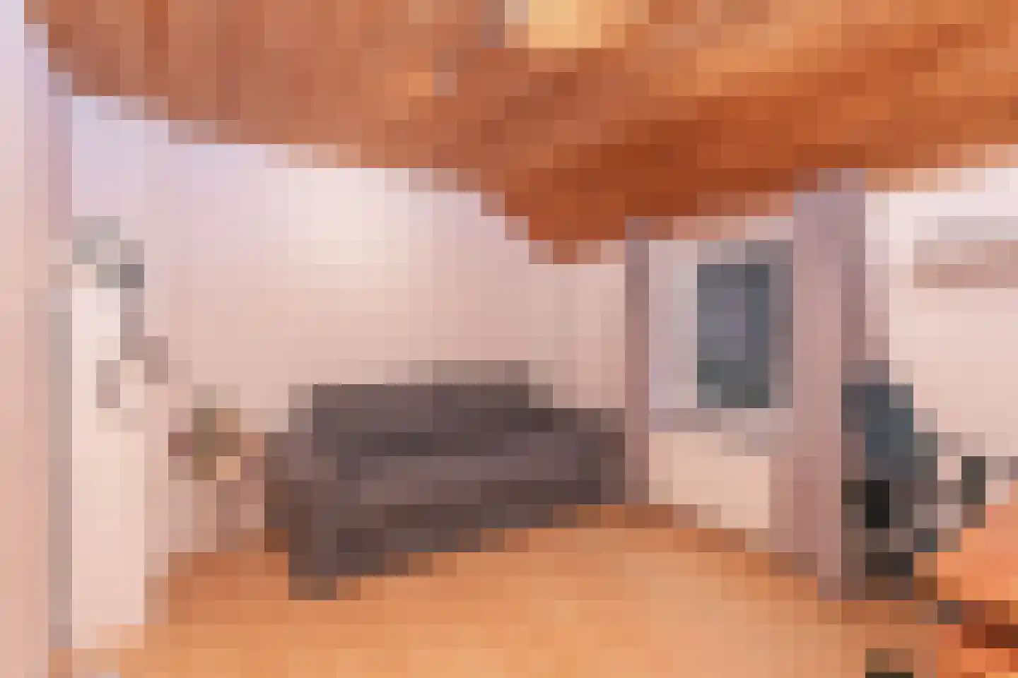 Coelgroevenstraat 20 Eygelshoven thumbnail 25