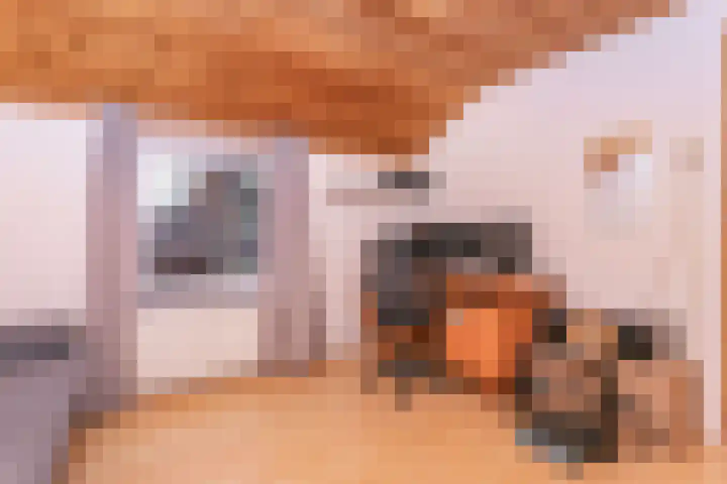 Coelgroevenstraat 20 Eygelshoven thumbnail 26