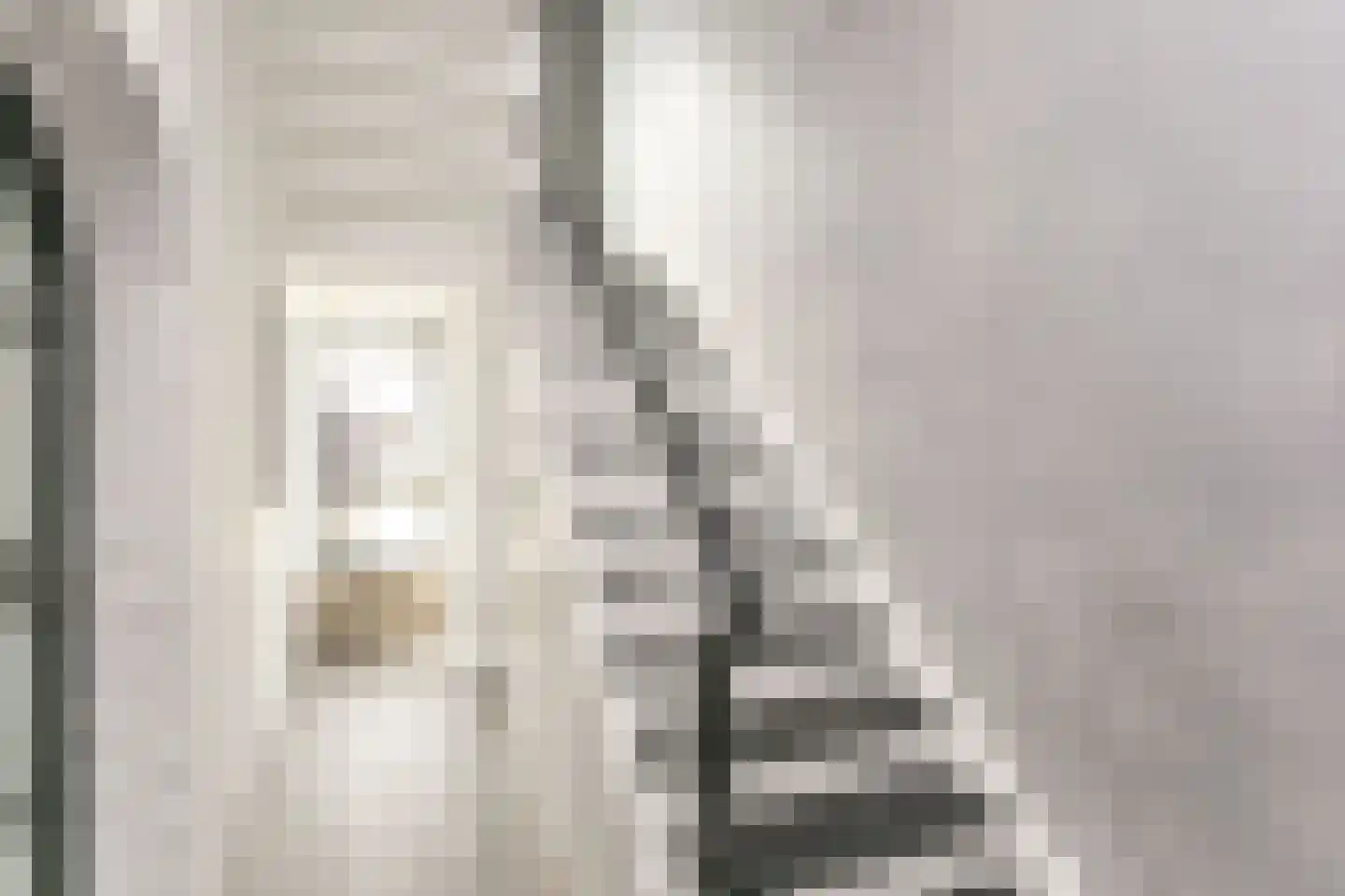 Coelgroevenstraat 9 Eygelshoven thumbnail 14