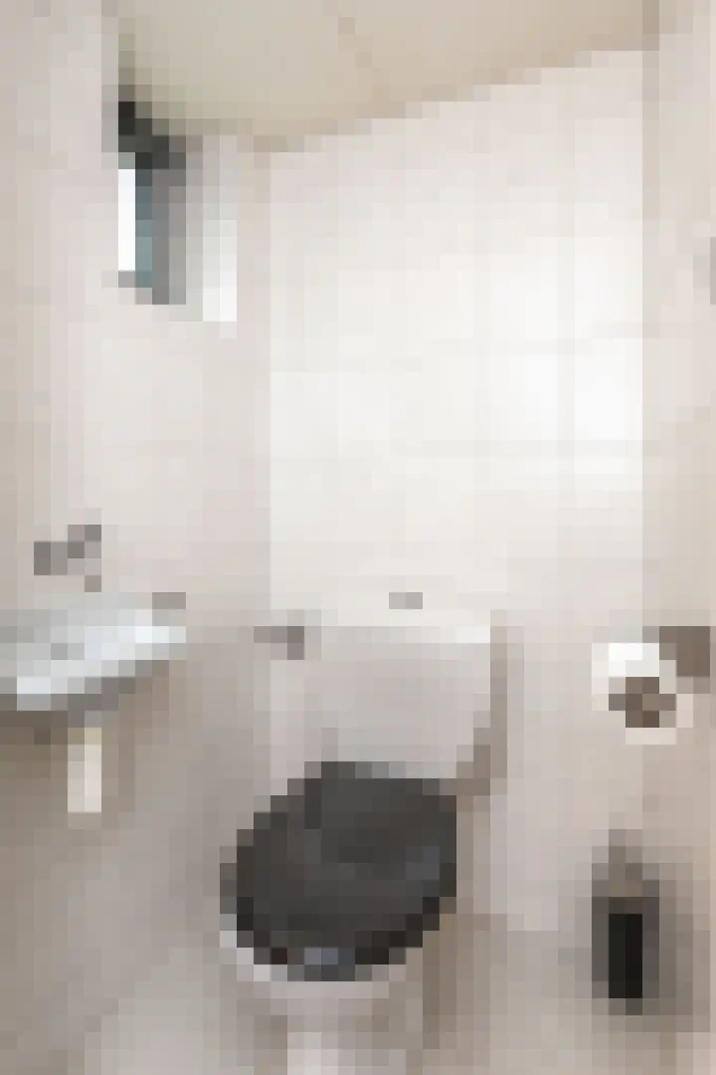 Coelgroevenstraat 9 Eygelshoven thumbnail 5