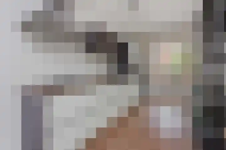 Coelhorst 18 Vleuten thumbnail 13