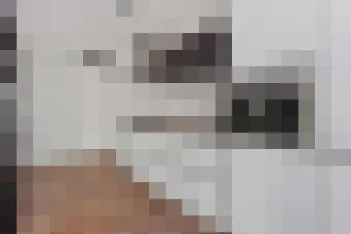 Coelhorst 18 Vleuten thumbnail 14