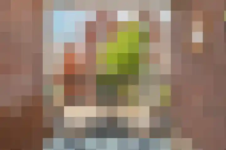 Coelhorst 18 Vleuten thumbnail 15