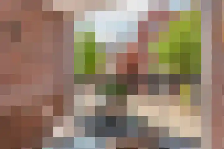 Coelhorst 18 Vleuten thumbnail 16