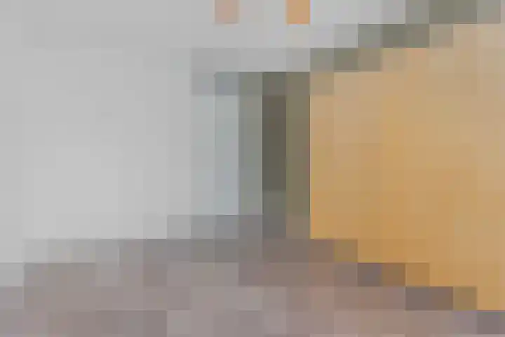 Coelhorst 18 Vleuten thumbnail 19