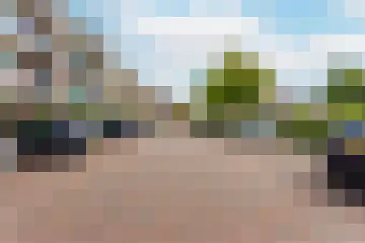 Coelhorst 18 Vleuten thumbnail 30