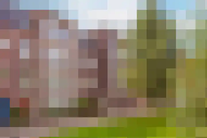 Coelhorst 18 Vleuten thumbnail 32