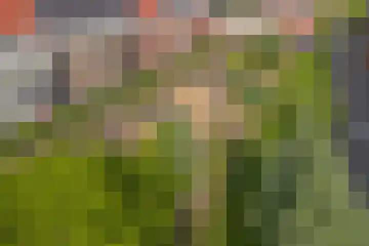 Coelhorst 18 Vleuten thumbnail 33