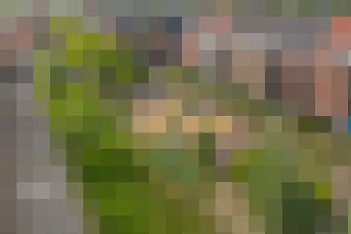 Coelhorst 18 Vleuten thumbnail 34