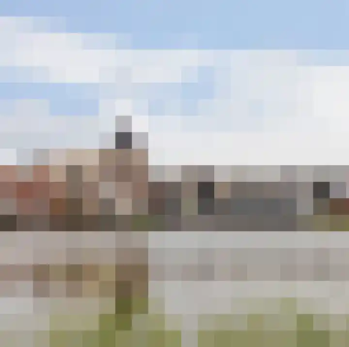 Coelhorst 18 Vleuten thumbnail 38