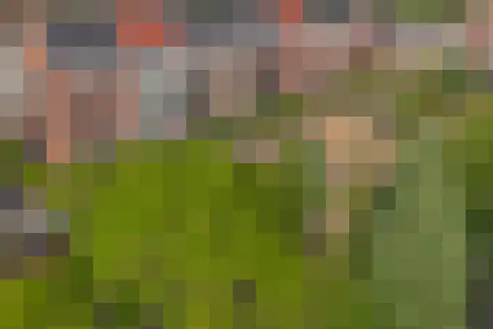Coelhorst 18 Vleuten thumbnail 4