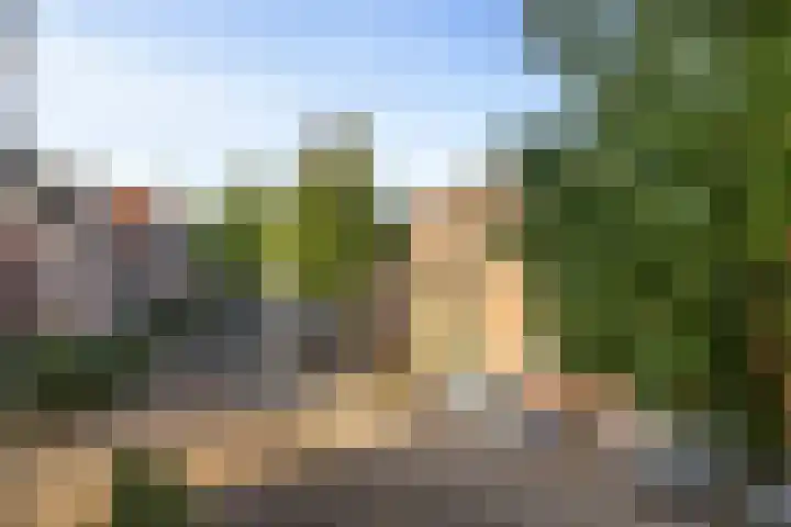 Coelhorst 20 Vleuten thumbnail 31