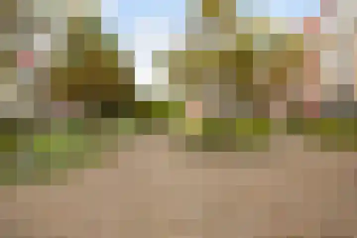 Coelhorst 20 Vleuten thumbnail 42