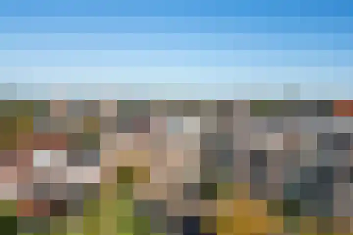 Coelhorst 20 Vleuten thumbnail 43