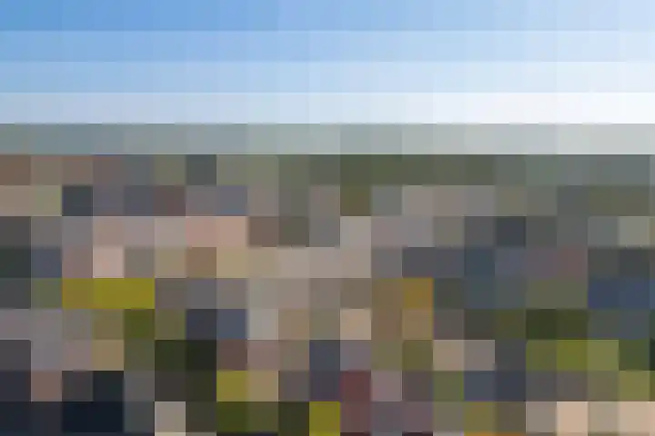 Coelhorst 20 Vleuten thumbnail 45