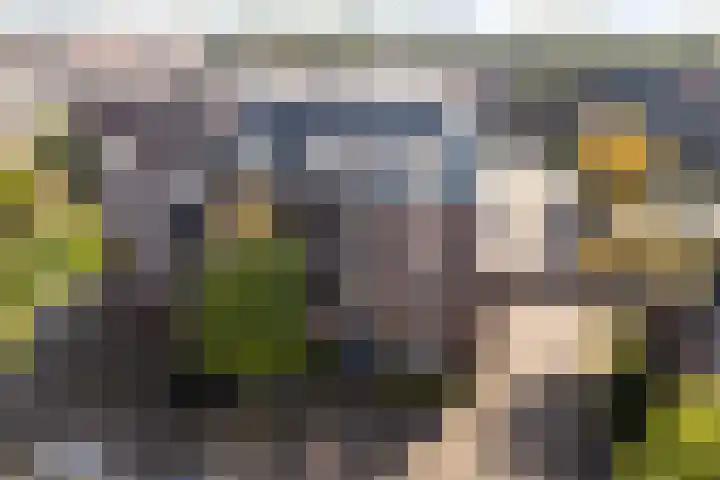 Coelhorst 20 Vleuten thumbnail 47