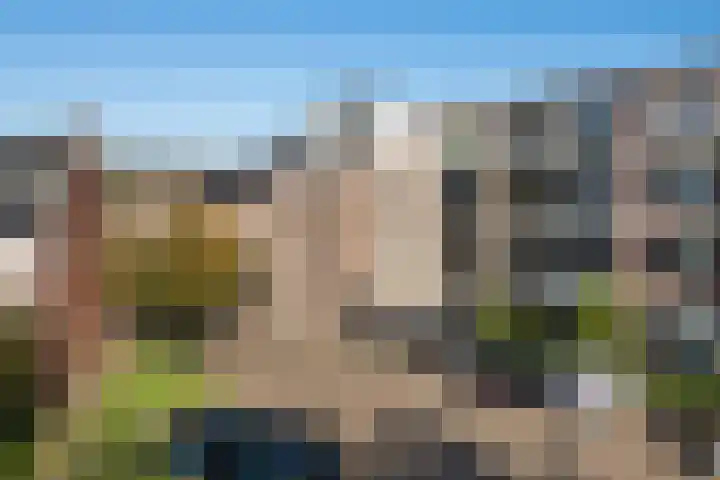 Coelhorst 20 Vleuten thumbnail 51