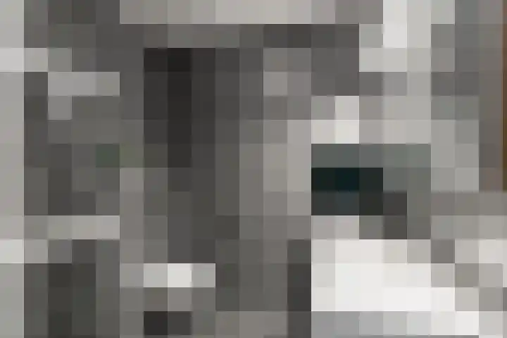 Coelhorst 32 Vleuten thumbnail 17