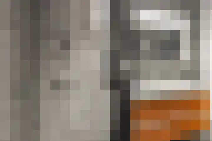 Coelhorst 32 Vleuten thumbnail 18