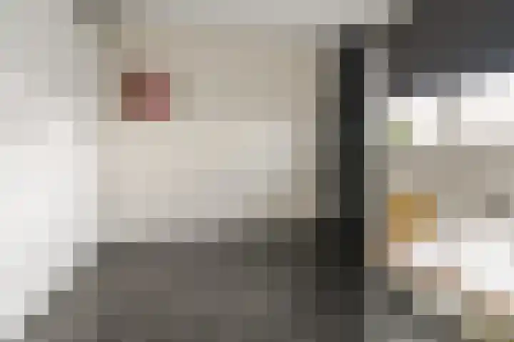 Coelhorst 32 Vleuten thumbnail 19