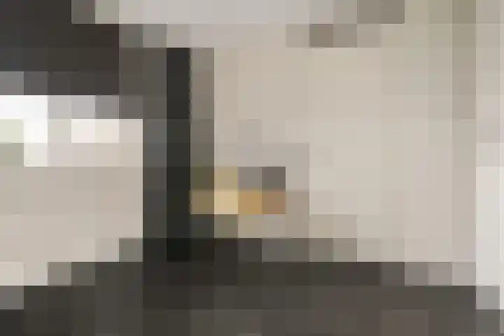 Coelhorst 32 Vleuten thumbnail 20