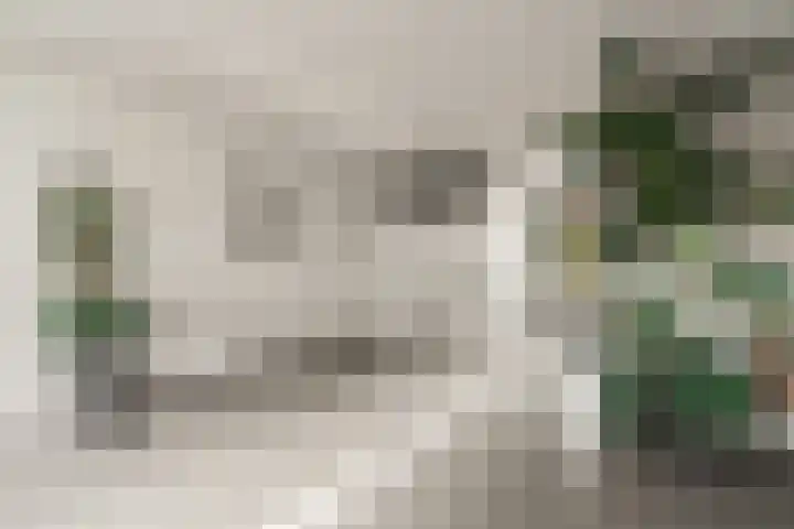 Coelhorst 32 Vleuten thumbnail 21