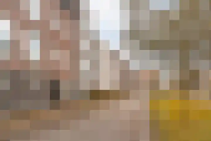 Coelhorst 32 Vleuten thumbnail 22