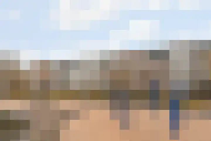 Coelhorst 32 Vleuten thumbnail 23