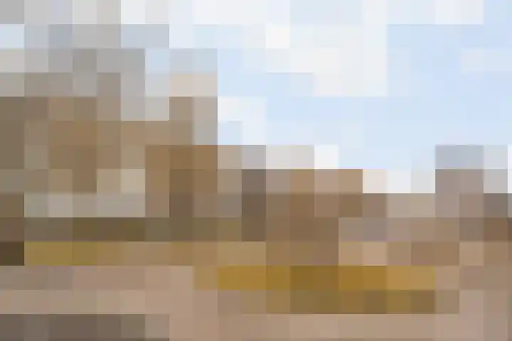 Coelhorst 32 Vleuten thumbnail 24