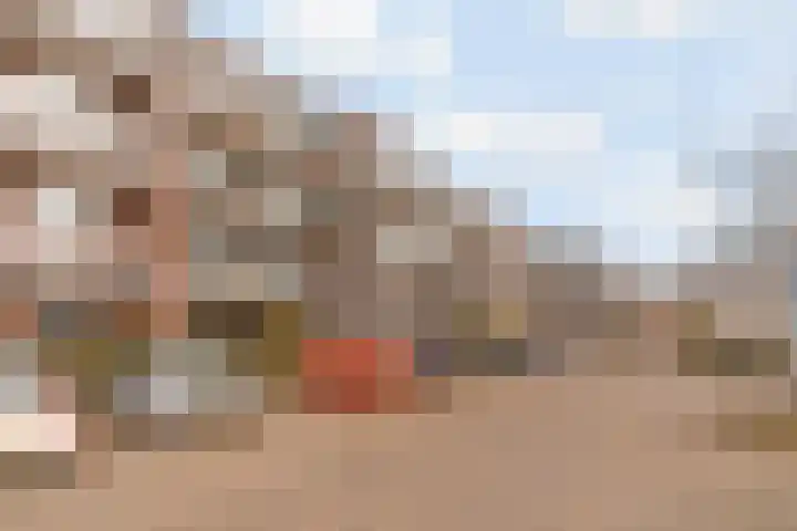 Coelhorst 32 Vleuten thumbnail 26