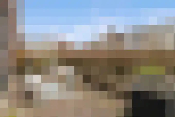Coelhorst 5 Vleuten thumbnail 11
