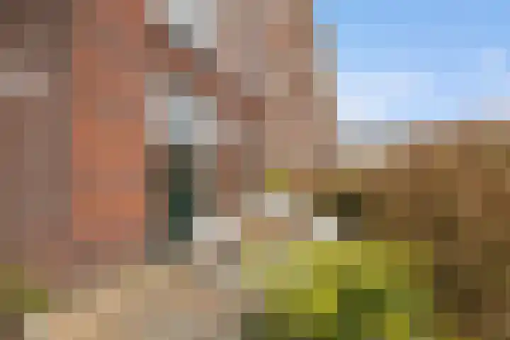 Coelhorst 5 Vleuten thumbnail 12