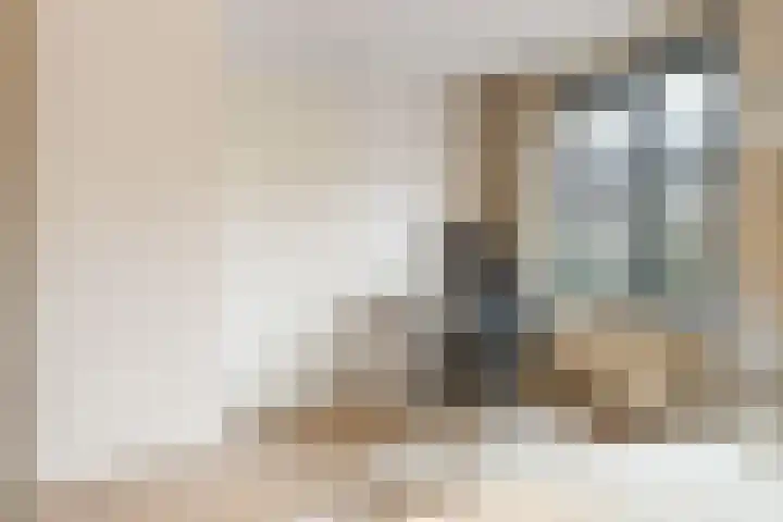 Coelhorst 5 Vleuten thumbnail 19