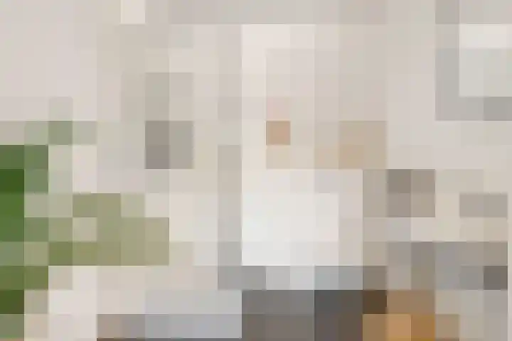 Coelhorst 5 Vleuten thumbnail 20
