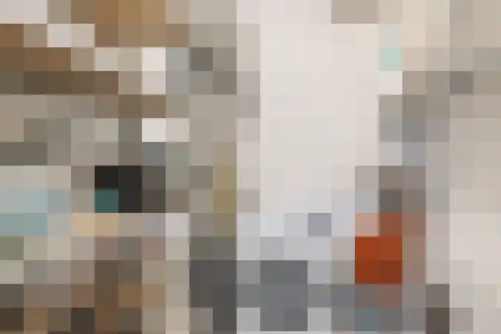 Coelhorst 5 Vleuten thumbnail 22