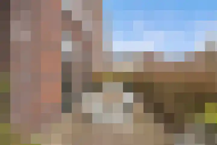 Coelhorst 5 Vleuten thumbnail 24