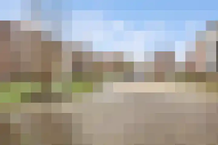 Coelhorst 5 Vleuten thumbnail 28