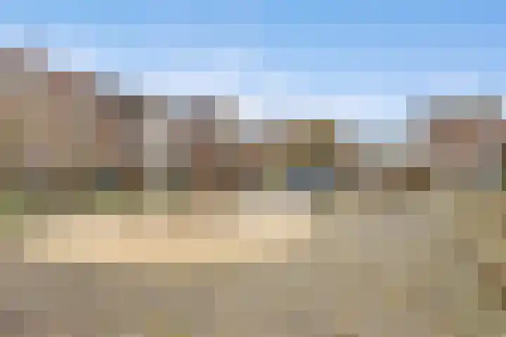 Coelhorst 5 Vleuten thumbnail 29