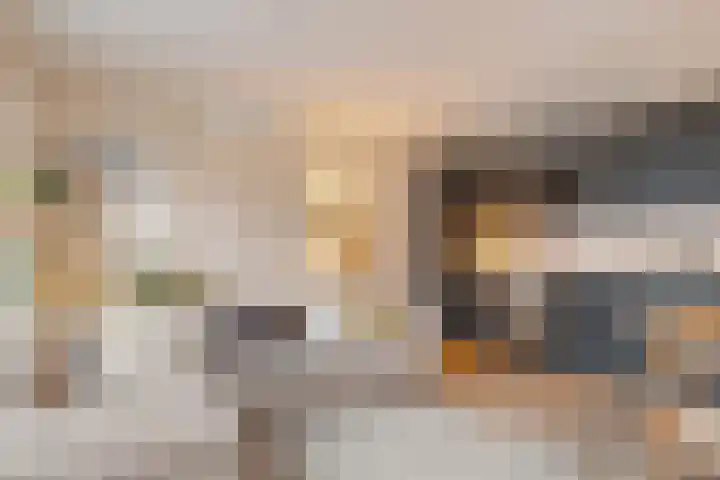 Coelhorst 5 Vleuten thumbnail 5